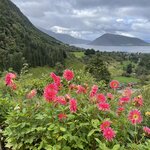 Photo taken by Nancy B