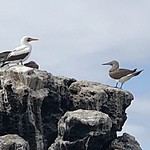 Photo taken by Meggan M