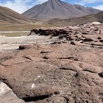 Photo taken by lynn o