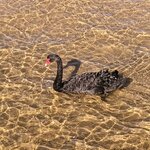 Photo taken by Daniel S