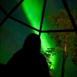 Photo taken by Nikki S