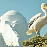 Photo taken by Felice Z