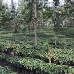 Photo taken by Daniel B