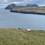 Photo taken by Janice R