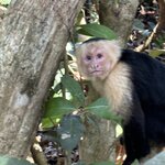 Photo taken by Harshida P