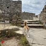 Photo taken by Kendall S