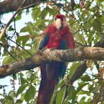 Photo taken by KLAUS A