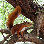 Photo taken by Linda M