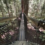 Photo taken by Sharon P