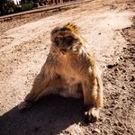 Photo taken by Kassie R