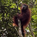 Photo taken by Judith D