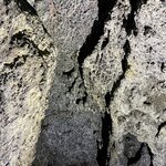 Photo taken by Nan K