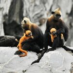 Photo taken by Chris T