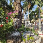 Photo taken by Beatrix K