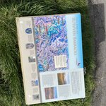 Photo taken by Danielle P