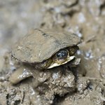 Photo taken by Graeme W