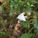 Photo taken by William R