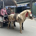 Photo taken by Susan R