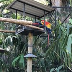 Photo taken by Kevin M