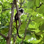 Photo taken by Erin K