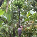 Photo taken by Sarah C