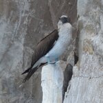 Photo taken by Ben S