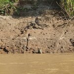 Photo taken by Bree J