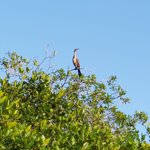 Photo taken by Michael T