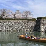 Photo taken by Reynaldo M