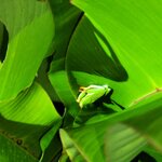 Photo taken by Esther B