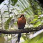 Photo taken by Alexia M