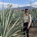 Photo taken by Julie S