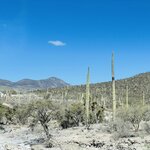 Photo taken by Pacita D