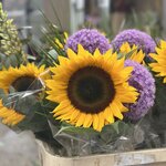 Photo taken by Shamma L