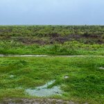 Photo taken by Brett T