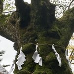 Photo taken by Leslie K