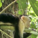 Photo taken by Donna R