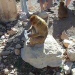 Photo taken by WILLIAM B