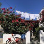 Photo taken by Lori H