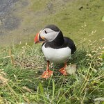 Photo taken by Marcia R