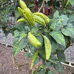 Photo taken by Ben B