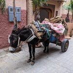 Photo taken by Cynthia D