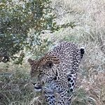 Photo taken by rhonda c