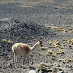 Photo taken by Rizal K