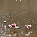 Photo taken by Ameet R