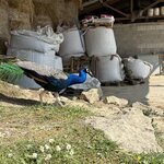 Photo taken by Brent B