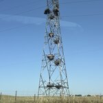 Photo taken by Rocky L