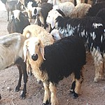 Photo taken by Mia F