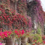 Photo taken by Kara H