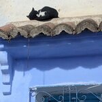 Photo taken by John P